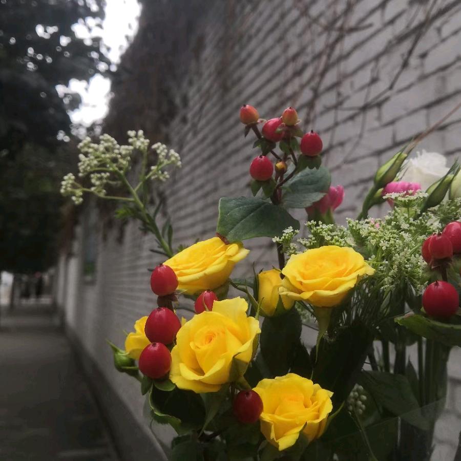 悦生活悦分享