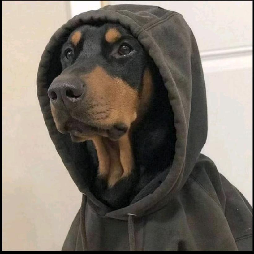 西藏森跃汽车贸易有限公司