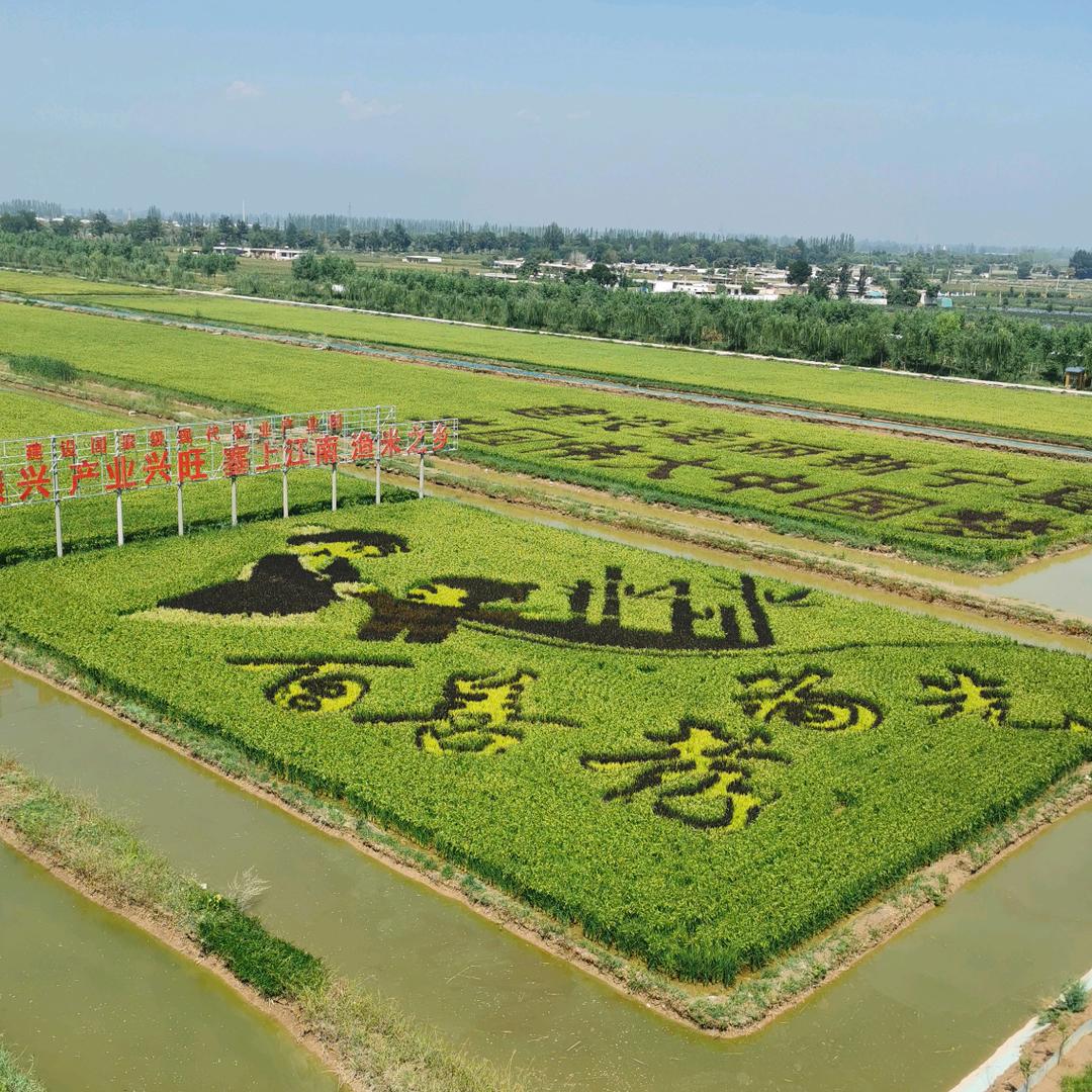 徐中华（宁夏兴恒达机械）