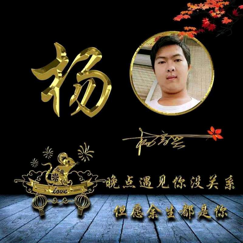 楊氏家族～第九甲