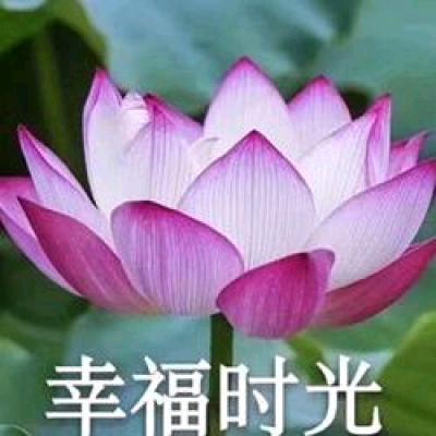 平安幸福美满好心情