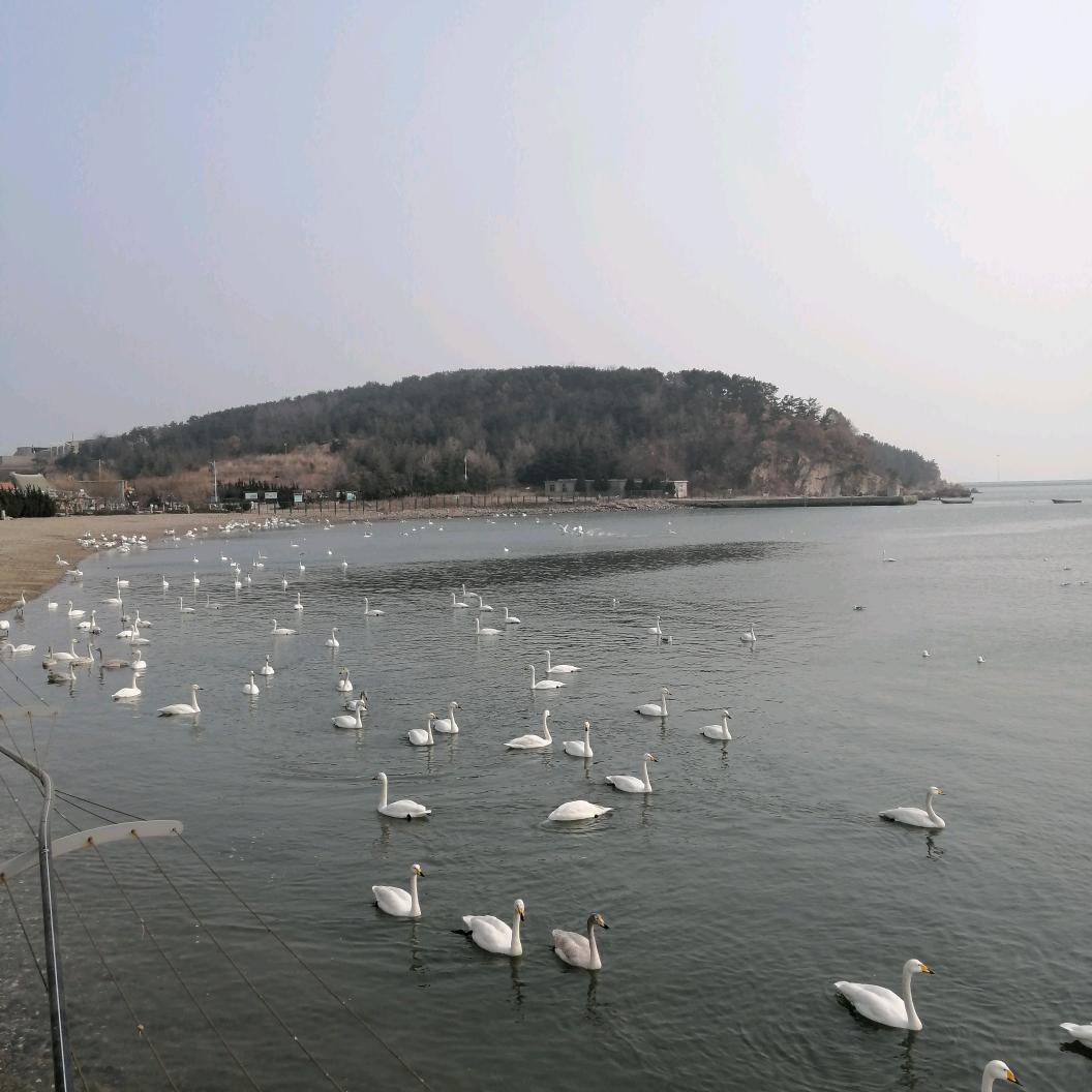 河流