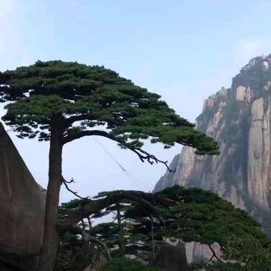 独行的王