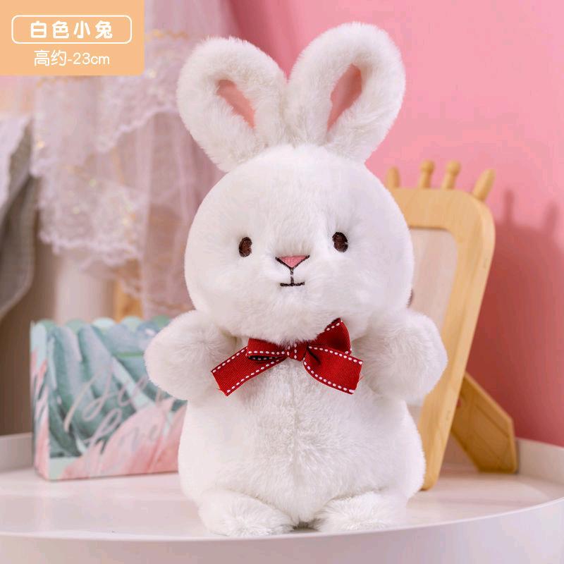 勿忘我，倾城一笑小可爱小宝贝小乖乖