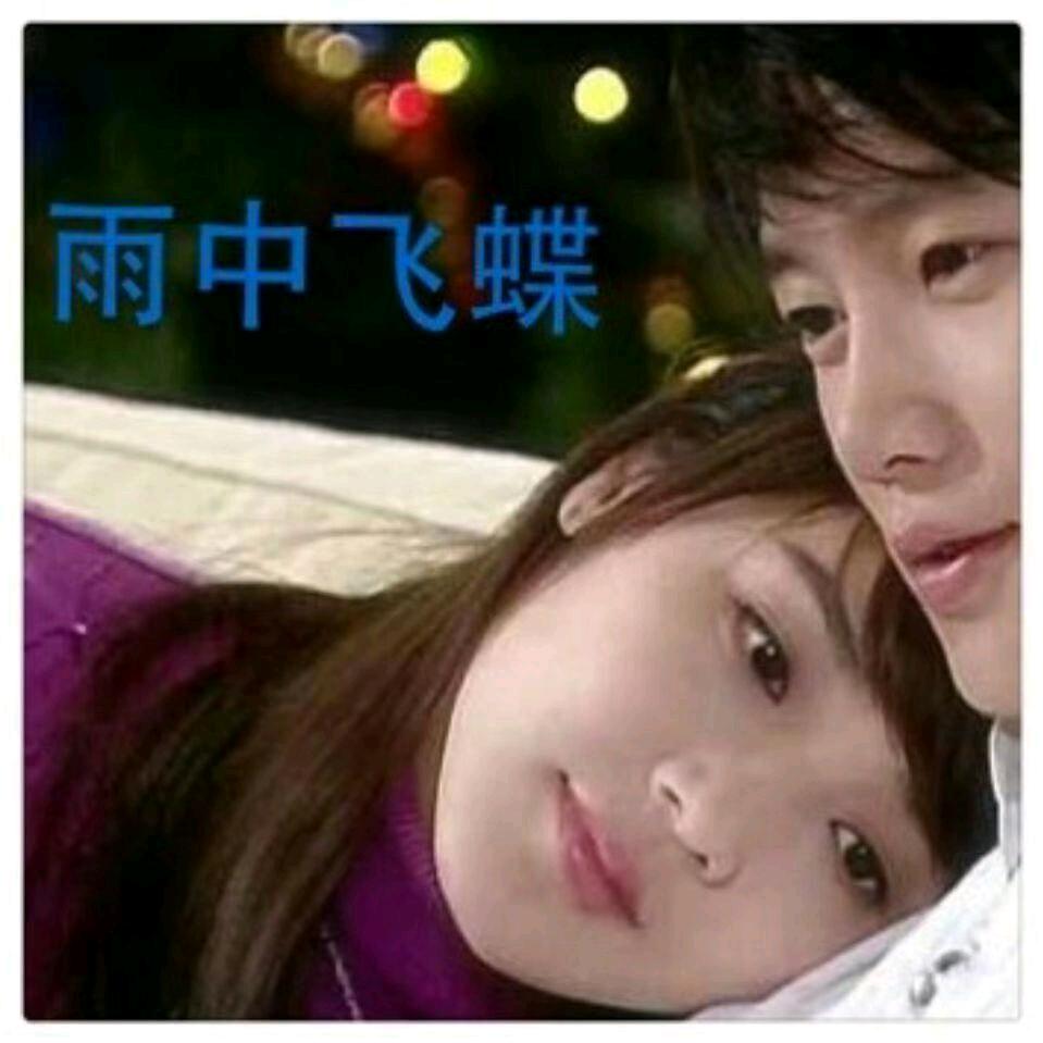 雨中飞蝶