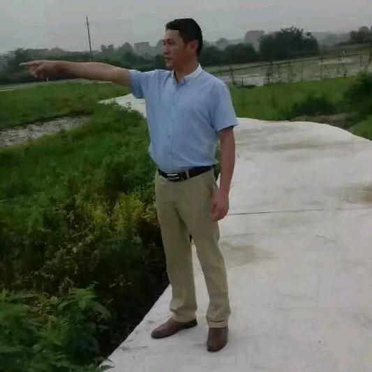 扬子高端顶墙（石贵正）