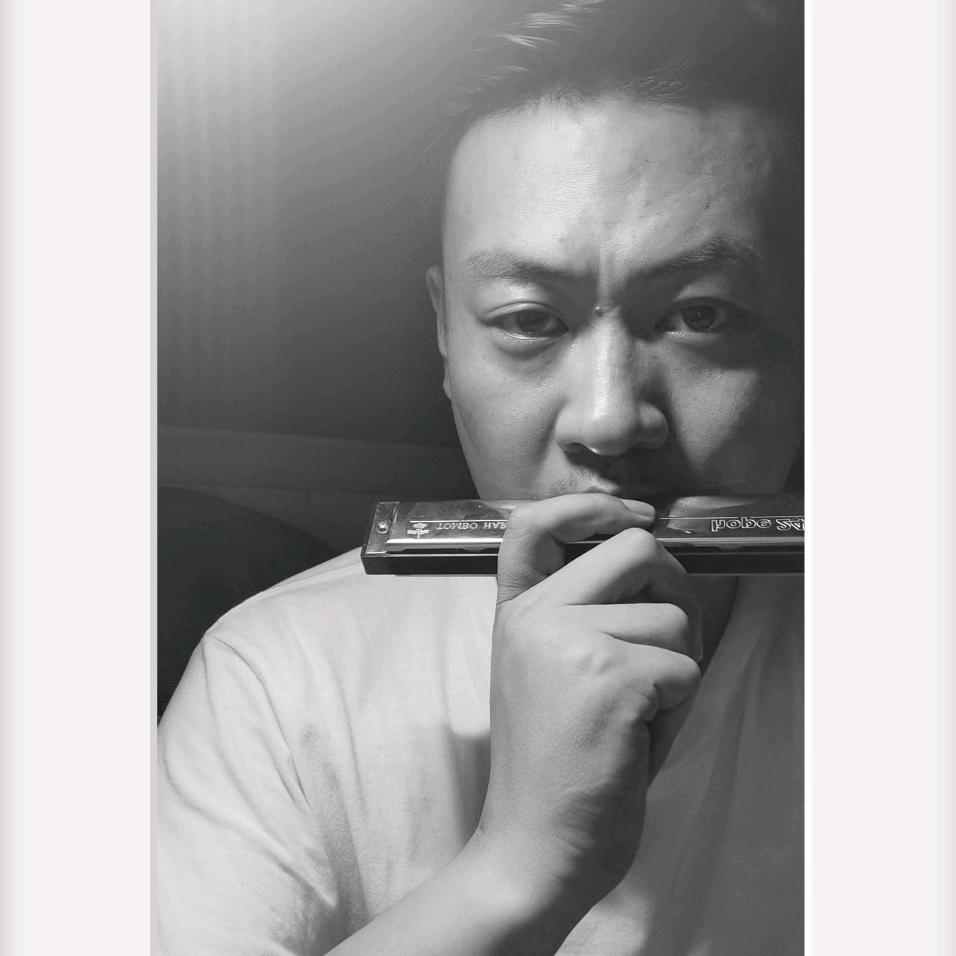 大卫看视频