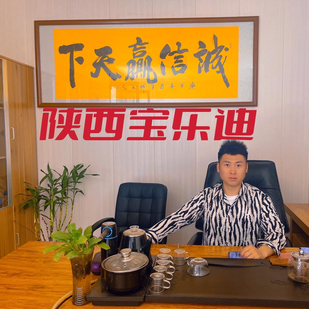 宝乐迪二手游乐设备销售中心