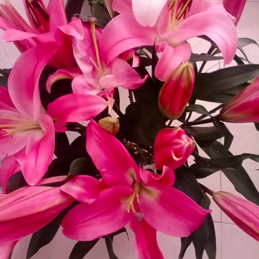 💞愿时光ꦿ待 ꦿ我ꦿ如ꦿ 初ཀྀ࿐