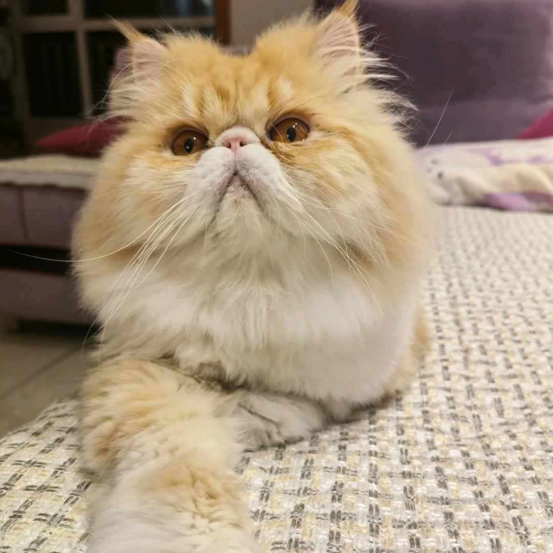 快活林