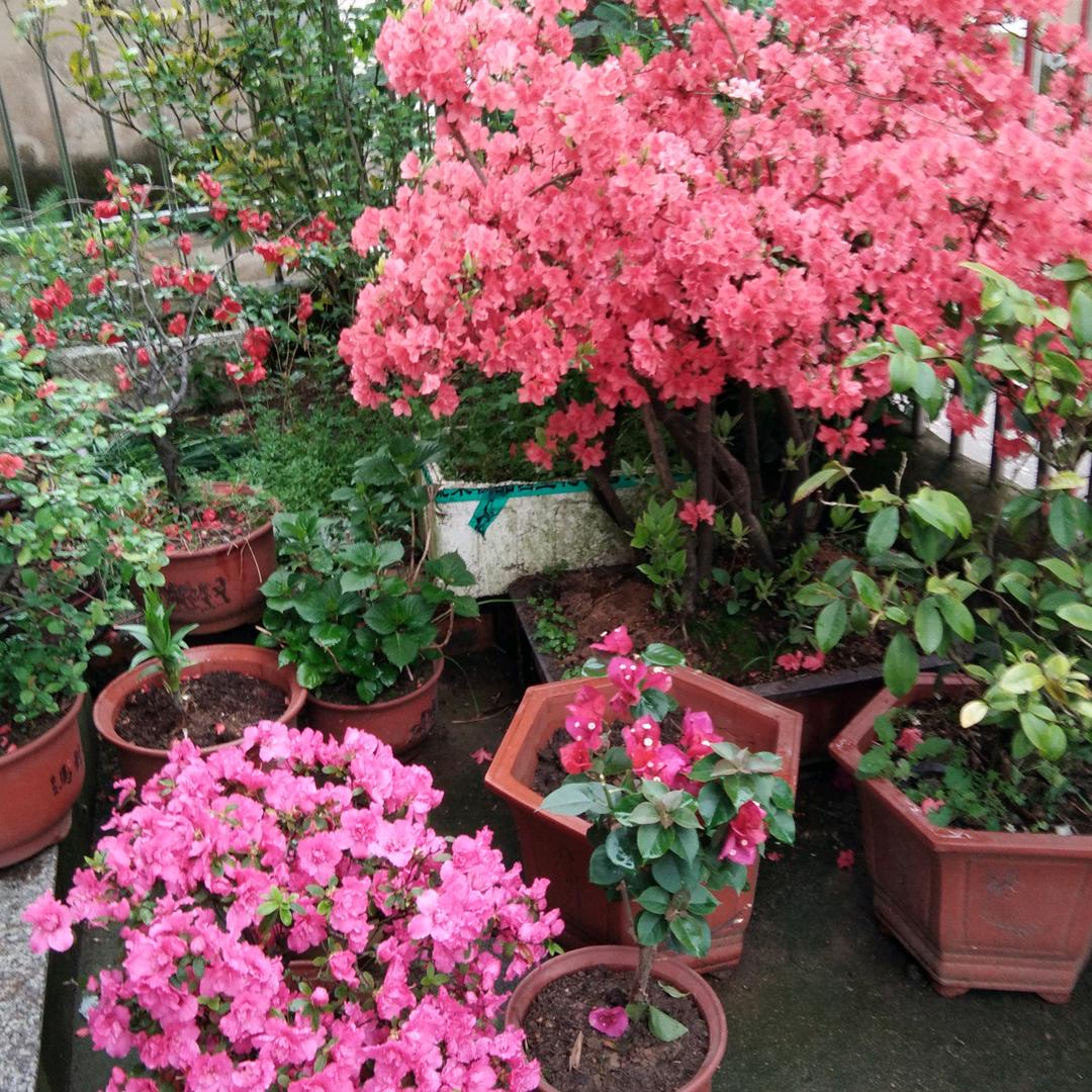 用户7354472980941金哥来了