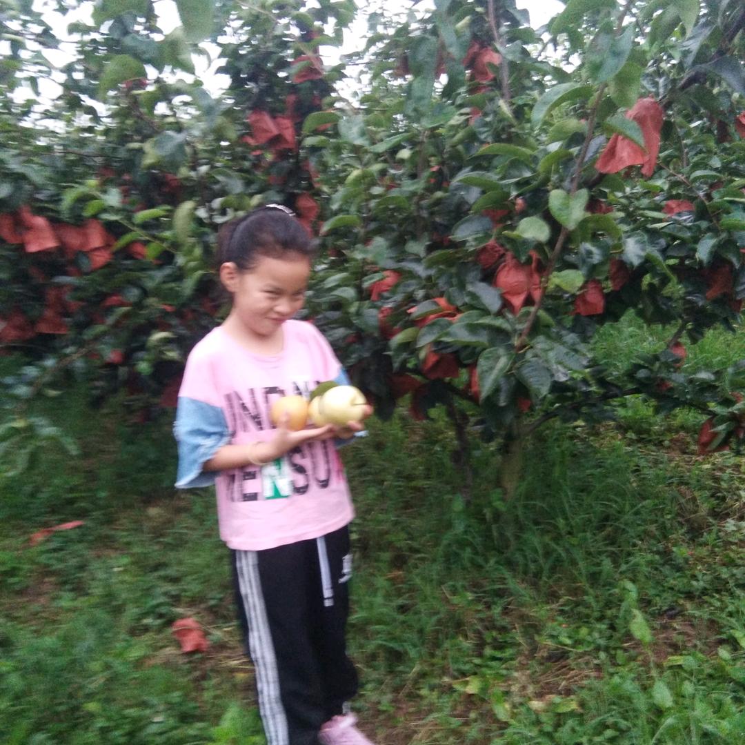 振才农场臻选阁