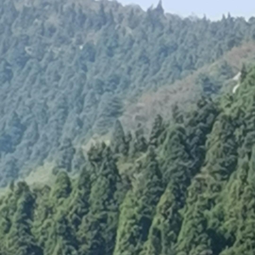 用户2102101805246海哥