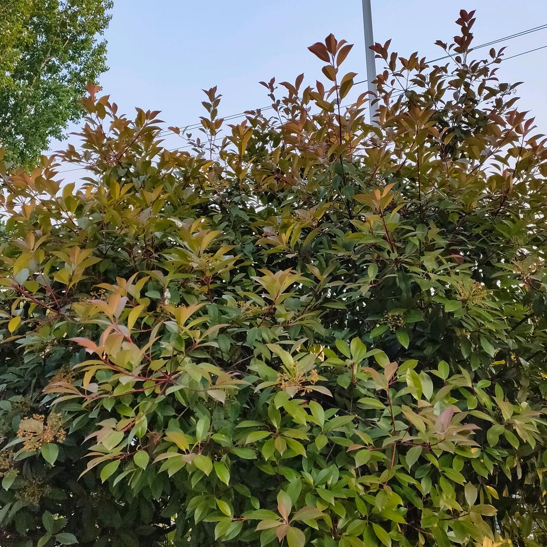 心随我动