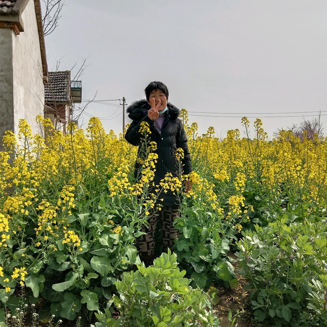 杨中孝