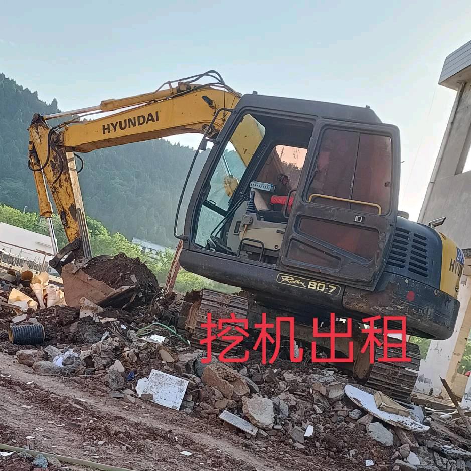 80挖机出租