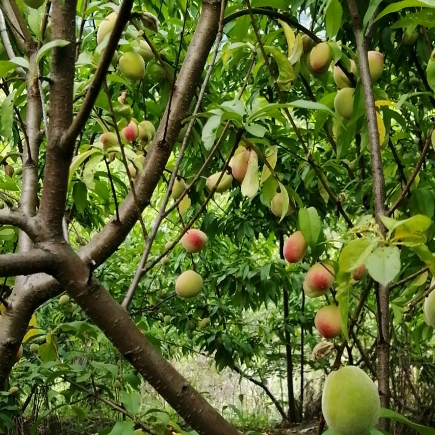 ღ᭄ꦿ꯭邂ঞ海ꦿ᭄💞比爱你ℳ🥀ꦿ꯭