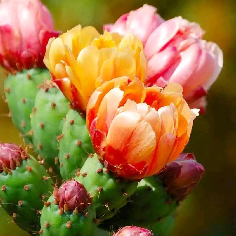 开心快乐每一天😄