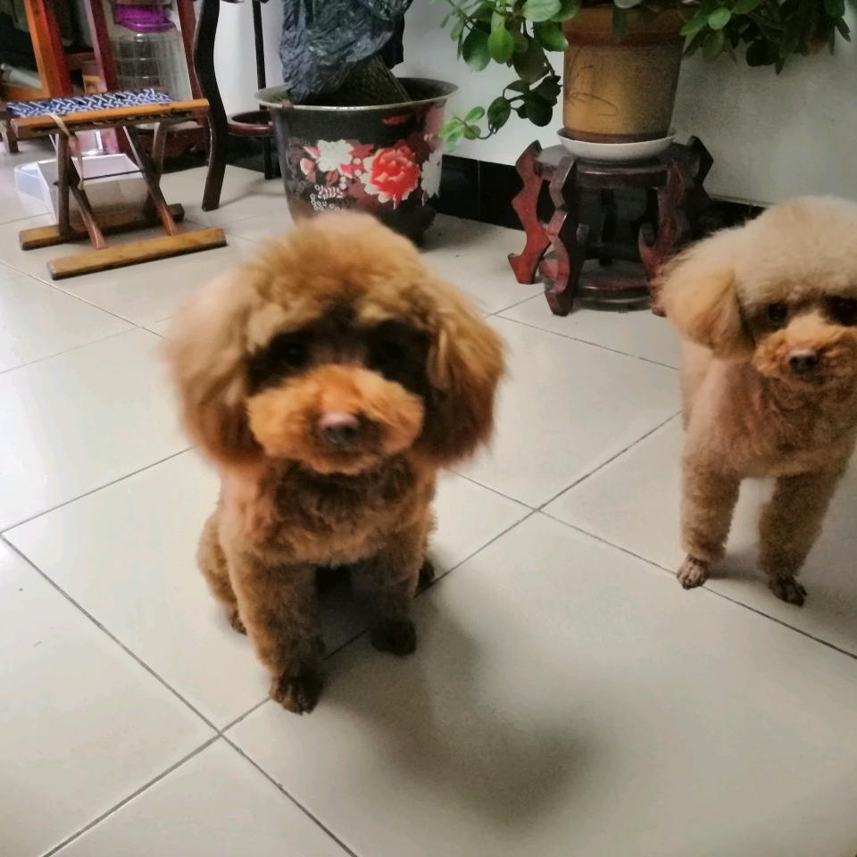 幸运｡◕‿◕｡