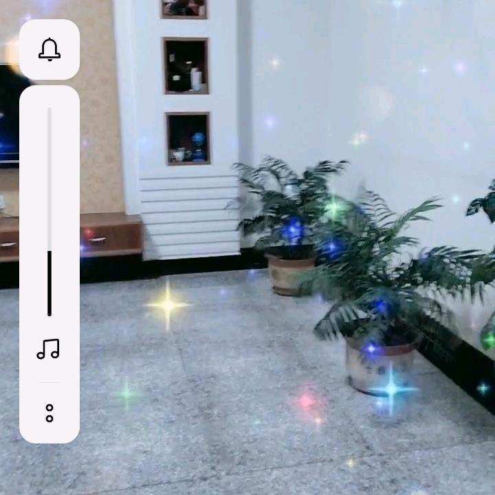 一枝梅花