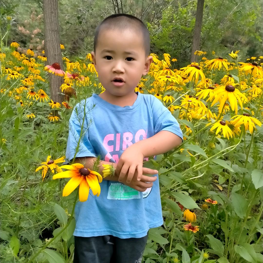 梦的翅膀抖音故事