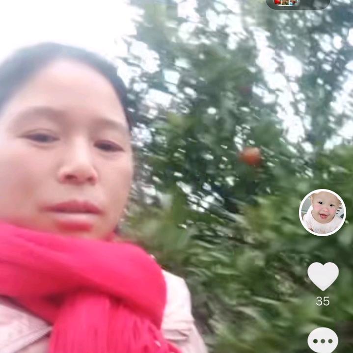 陈正安（桃花山镇）