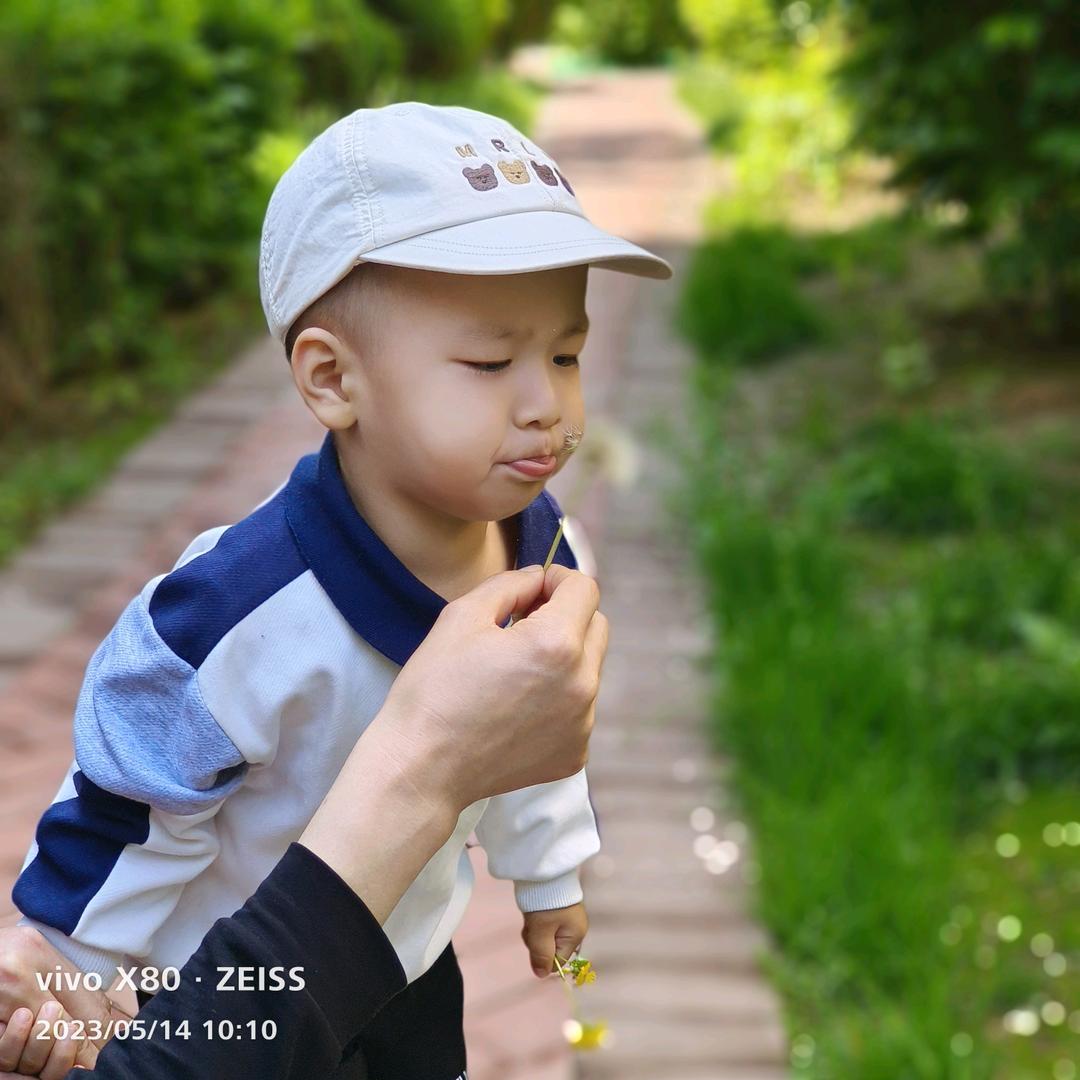 科学养娃好物分享