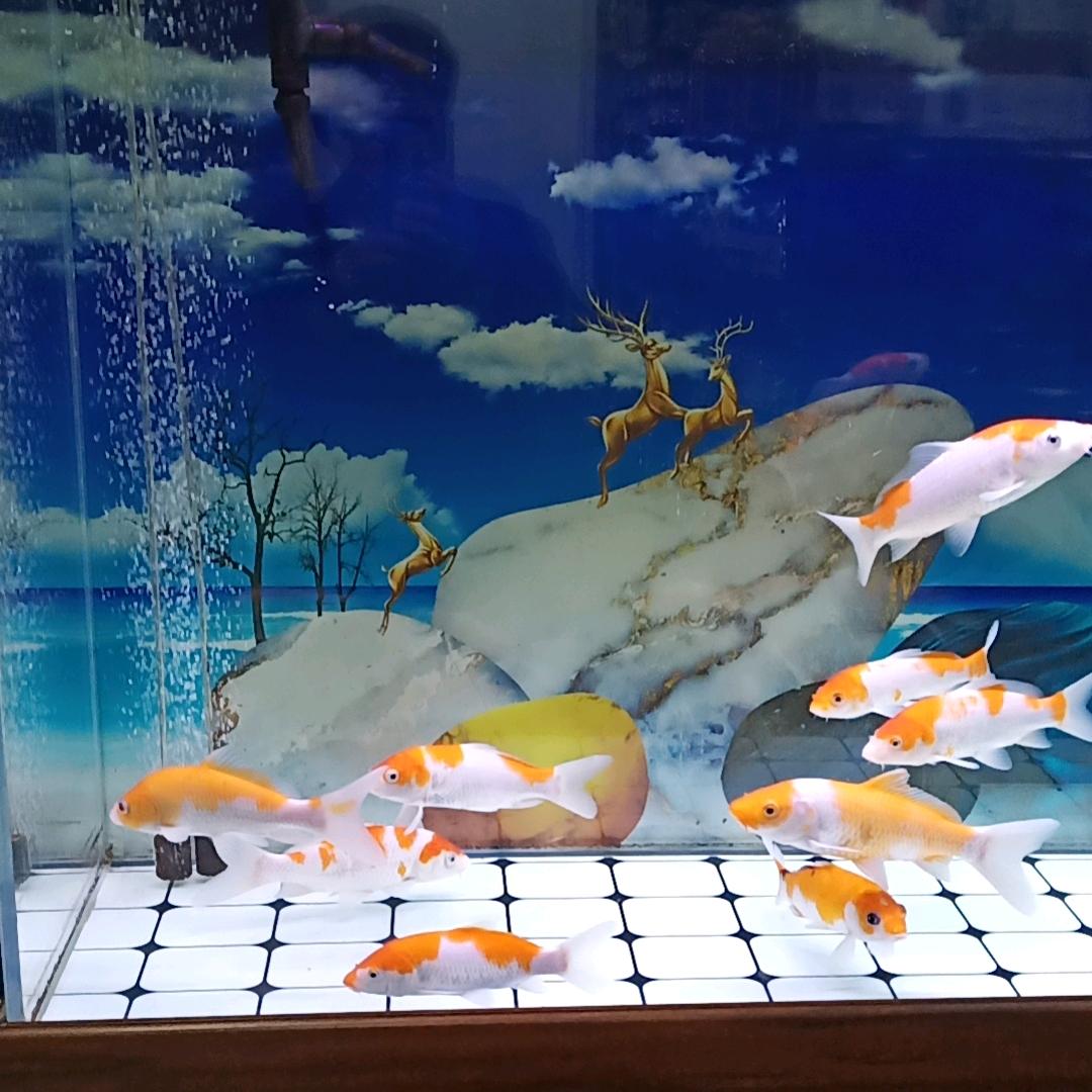 🌴🌻我的家乡美 💐💐