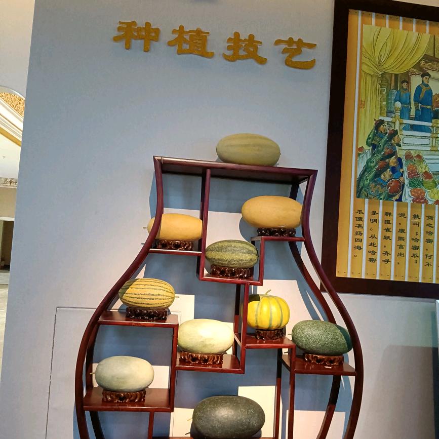 青春年少必须狂