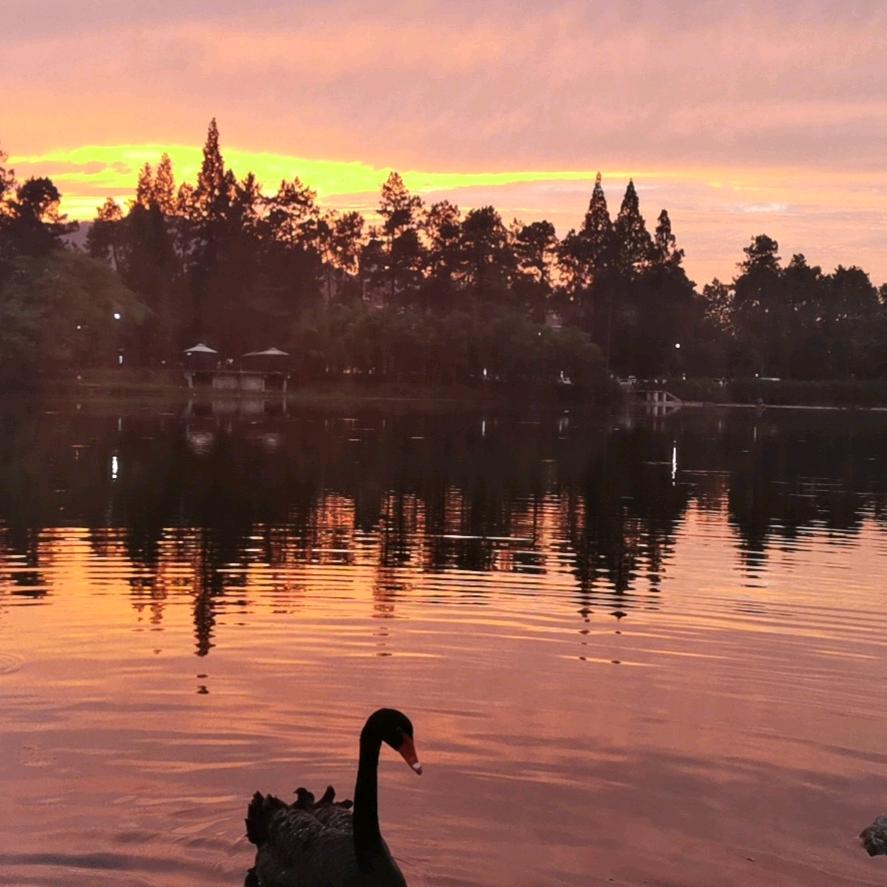 𝒀𝑳𝑮🍊西楼