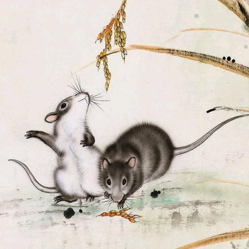 幸福鼠🐭