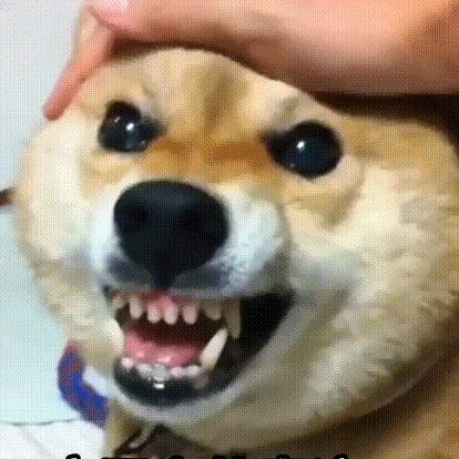 逃夭