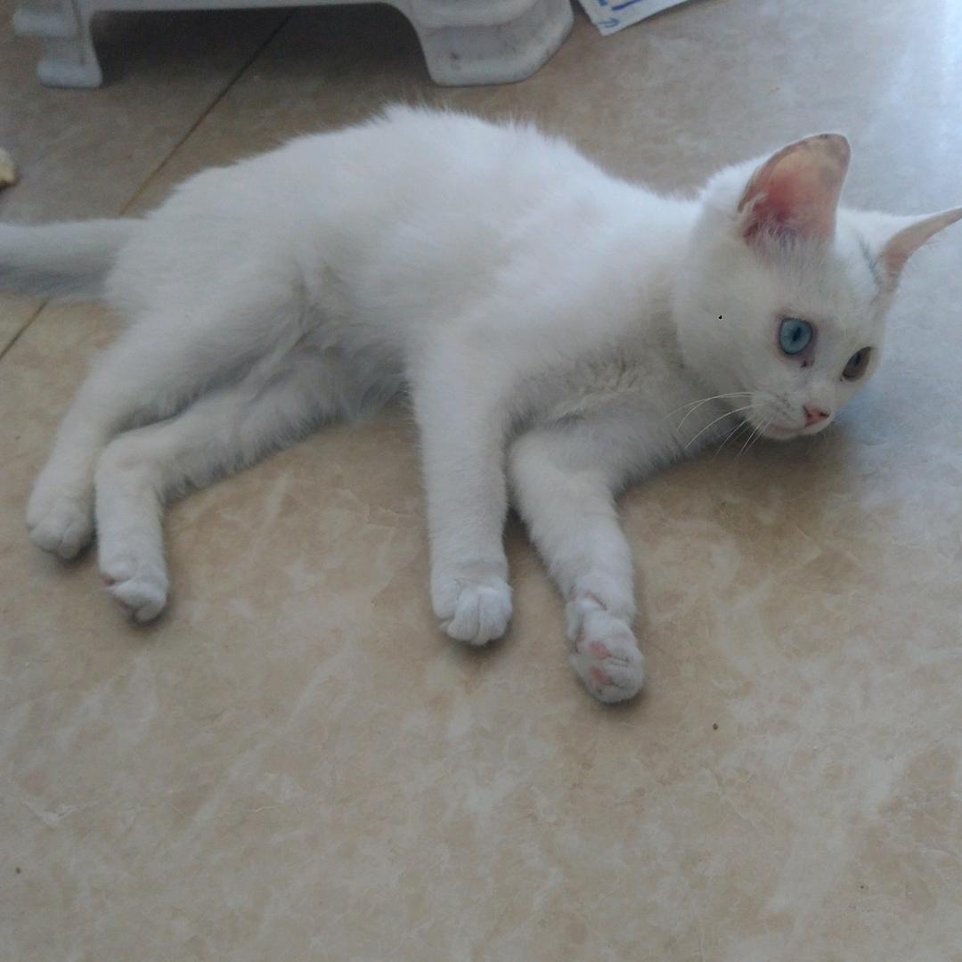 我的世界创造神话