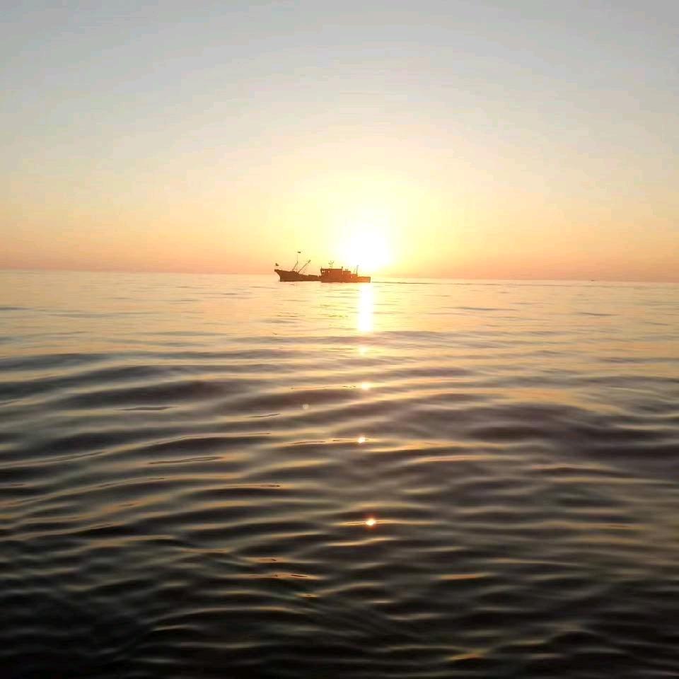 海上漂泊