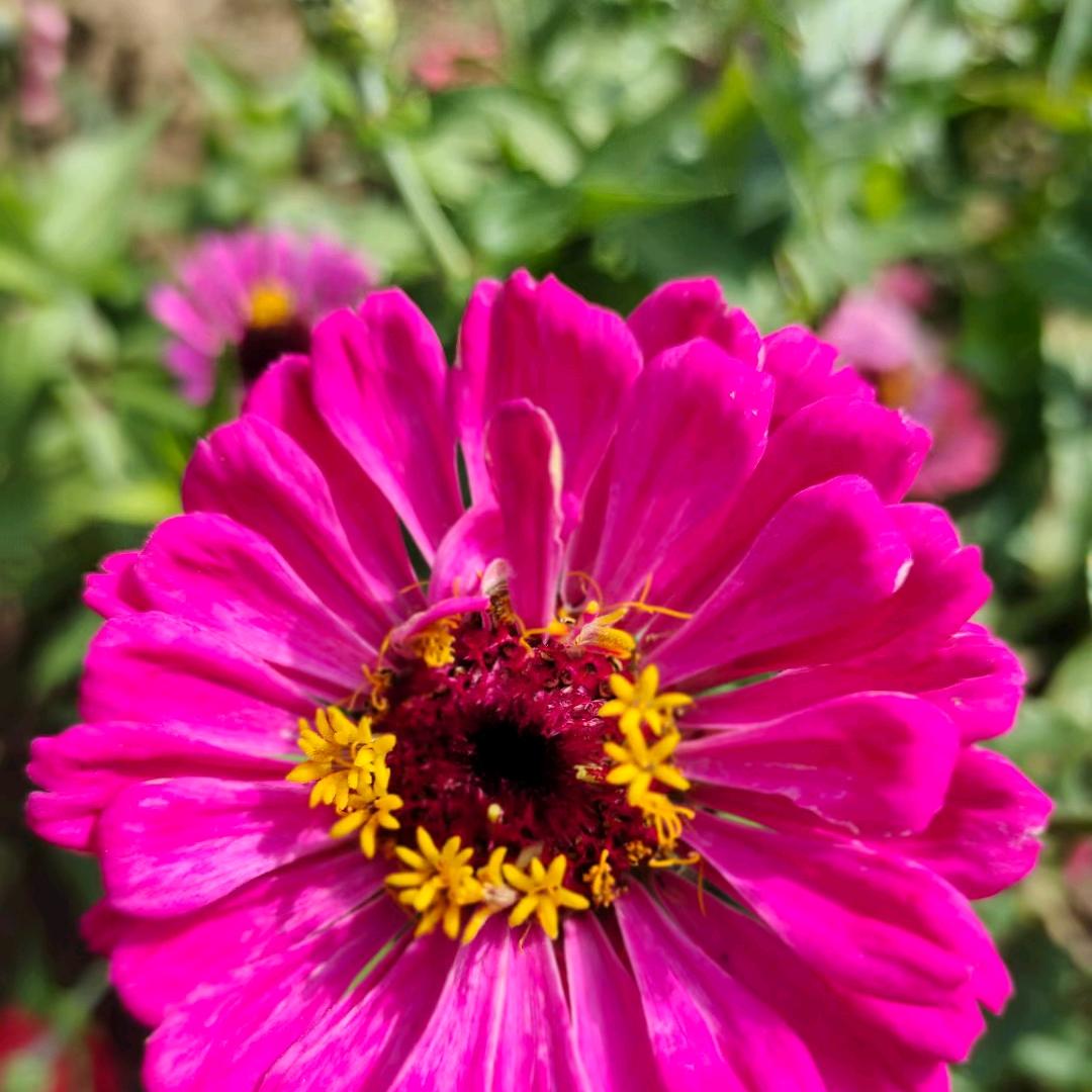 万花🌸丛中一点笑