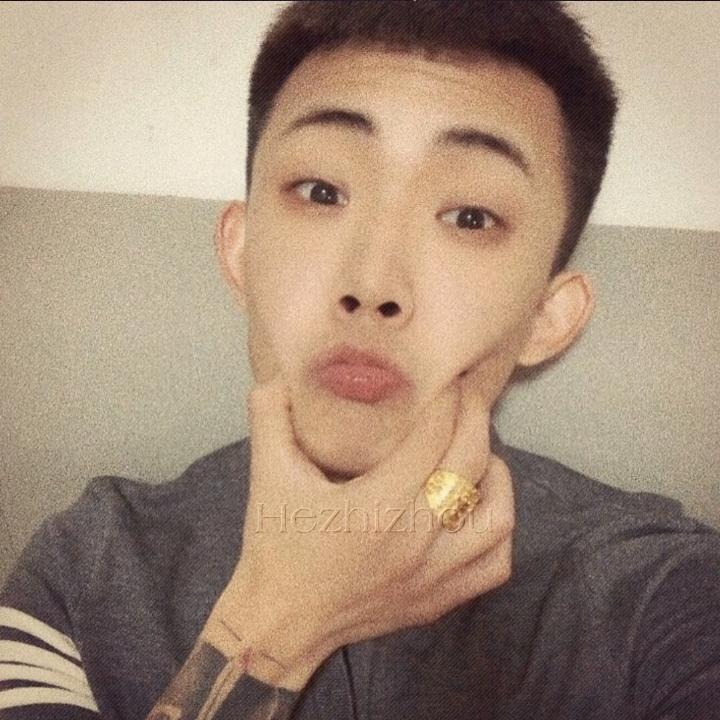 环诸葛葛
