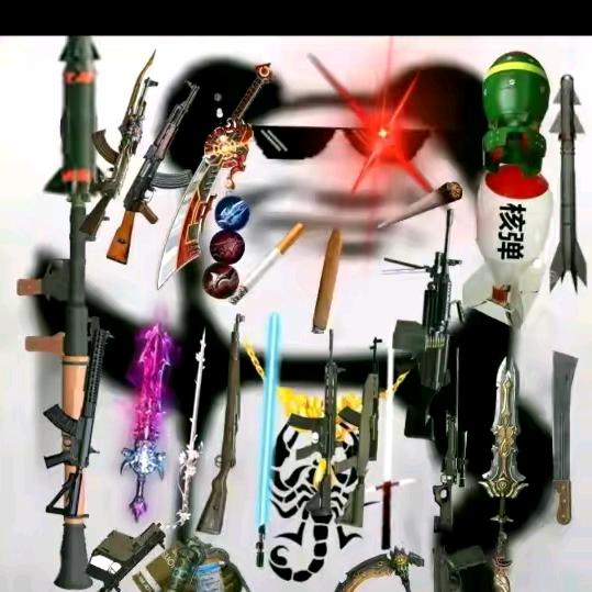 开朗的武装网友