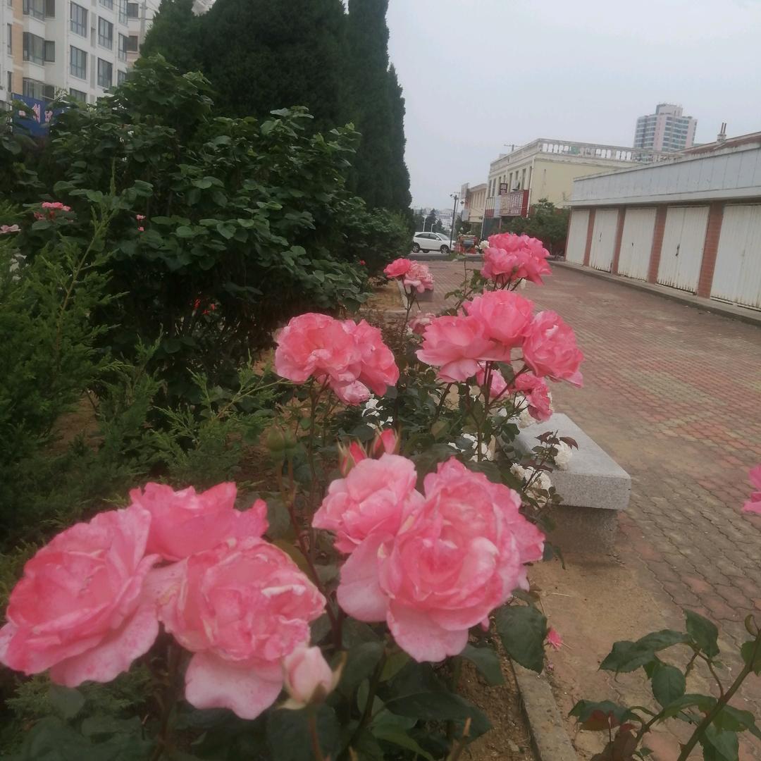 萍水相逢
