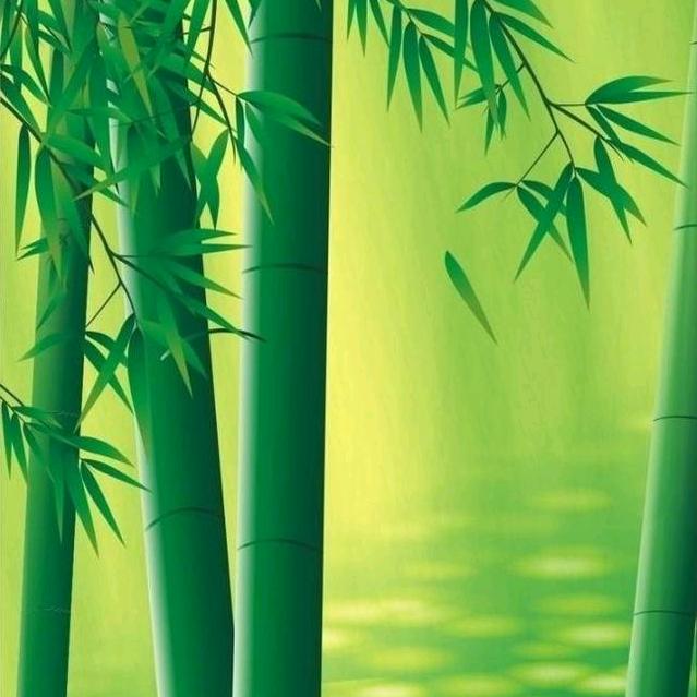 A不忘初心/杭州臻柔蚕丝羽绒馆
