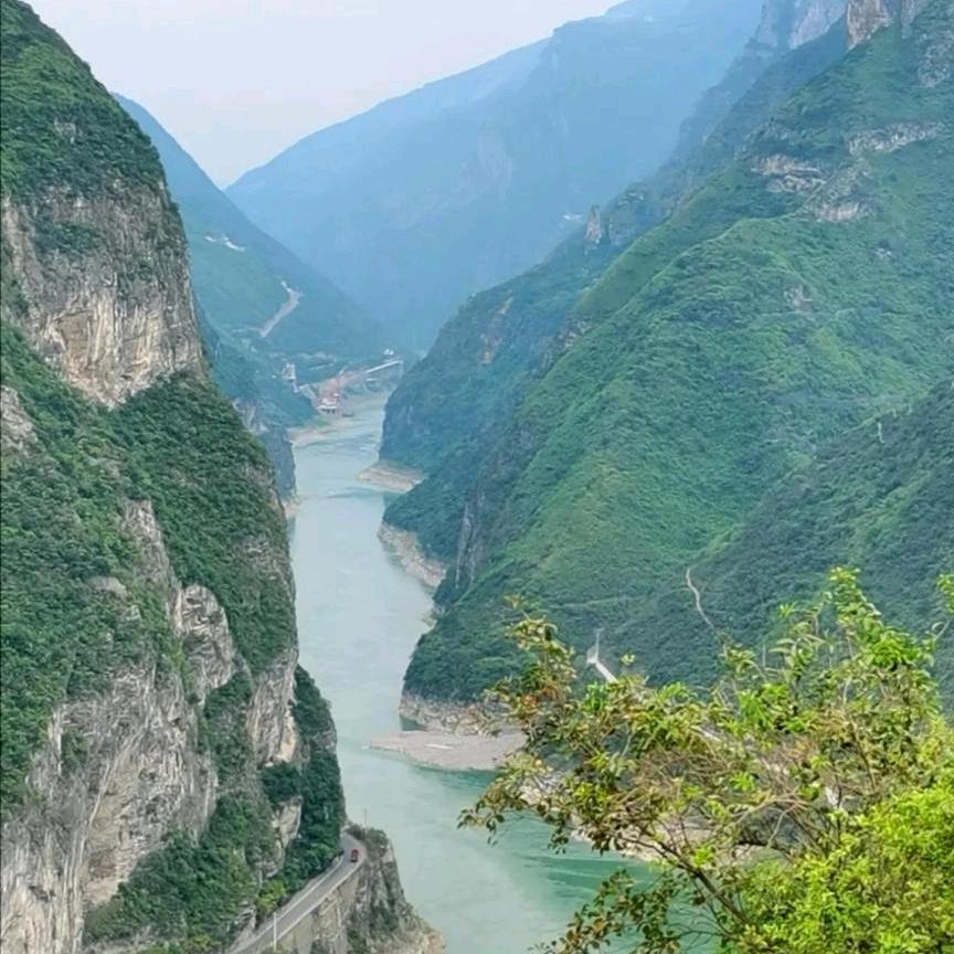 诚信〈李〉