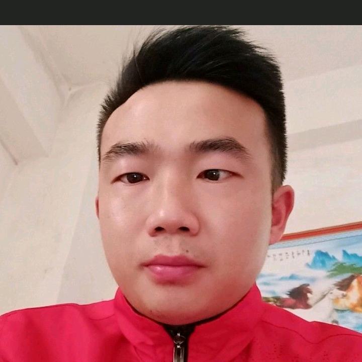 梦情飞