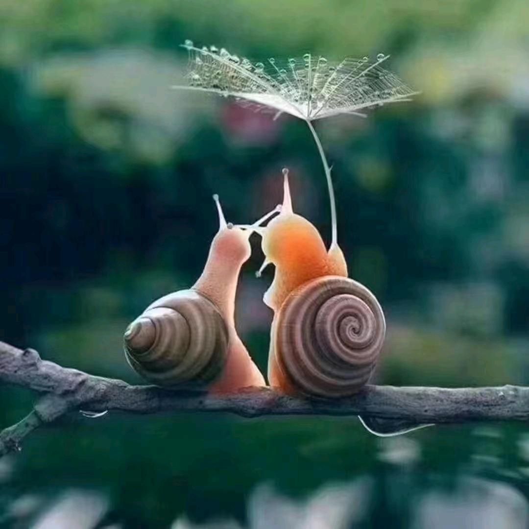 多财多亿