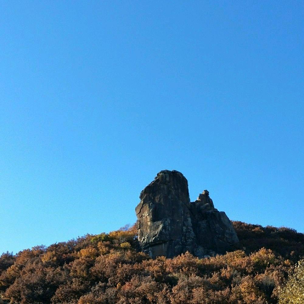 淡泊