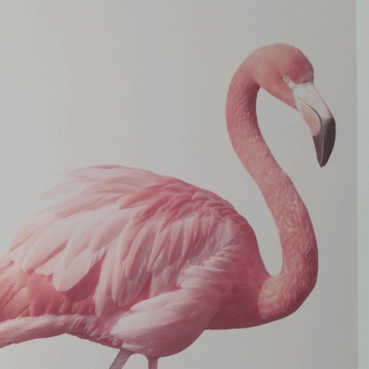 项悦桐（拒绝私聊）