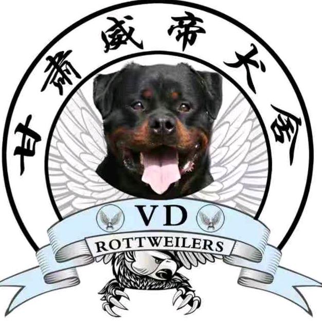 麦积区罗威纳宠物用品店 威帝罗威纳犬舍