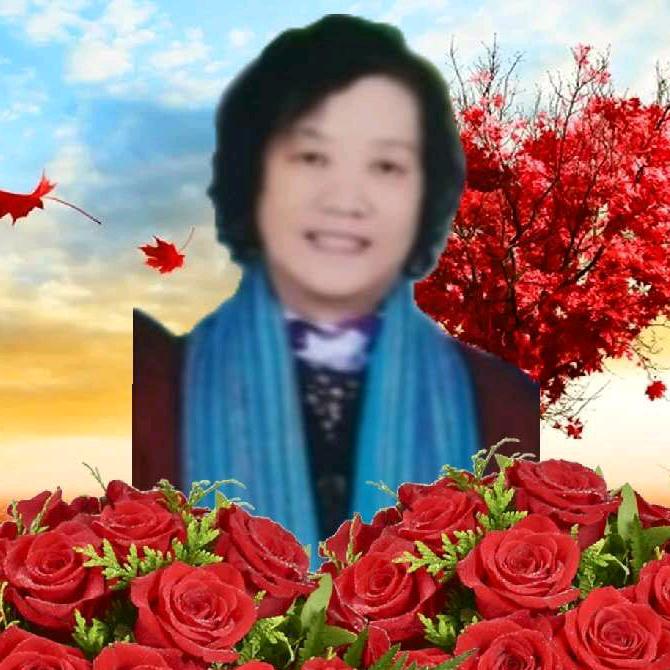 老有所乐
