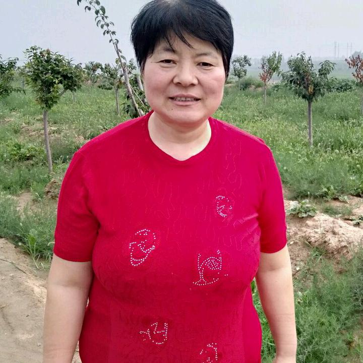 芝姐，好物分享