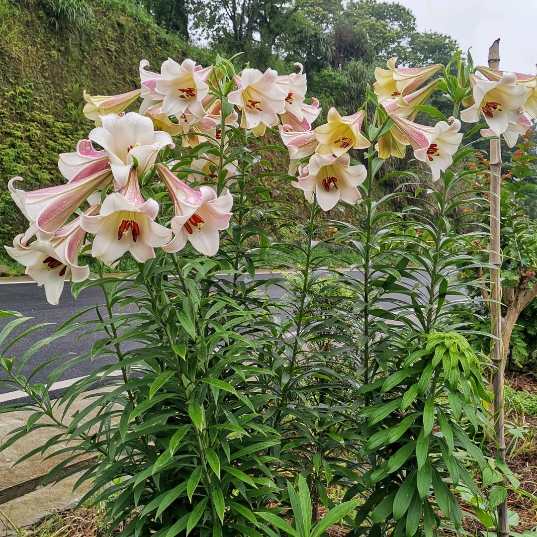 雨过天晴