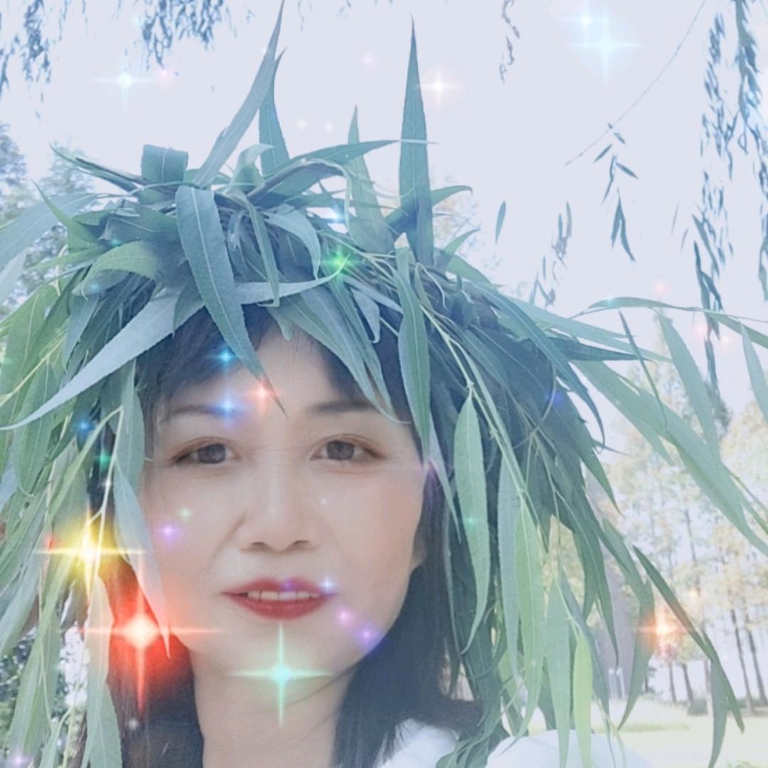郑奶奶
