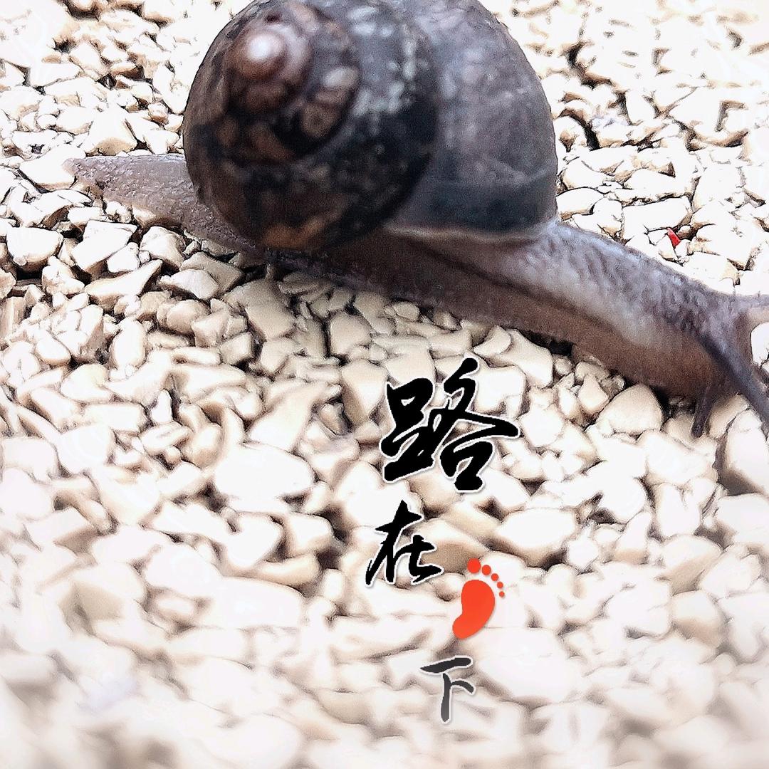 早安无恙~晚安好梦